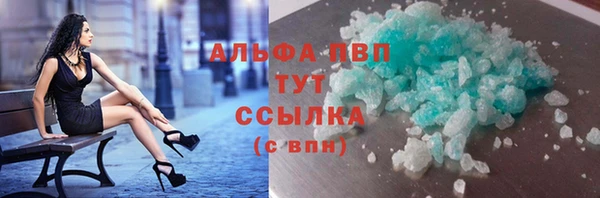 шишки Арсеньев