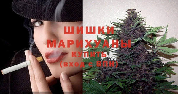 шишки Арсеньев