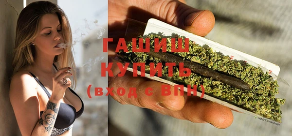 шишки Арсеньев