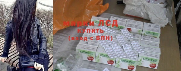 шишки Арсеньев