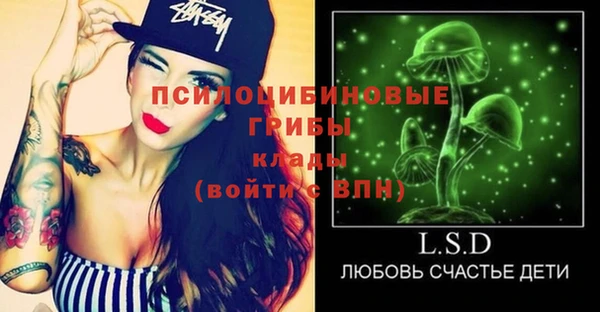 шишки Арсеньев